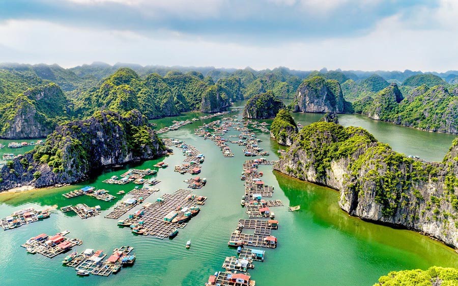 Halong Bay vs Lan Ha Bay: Which One Should You Visit?